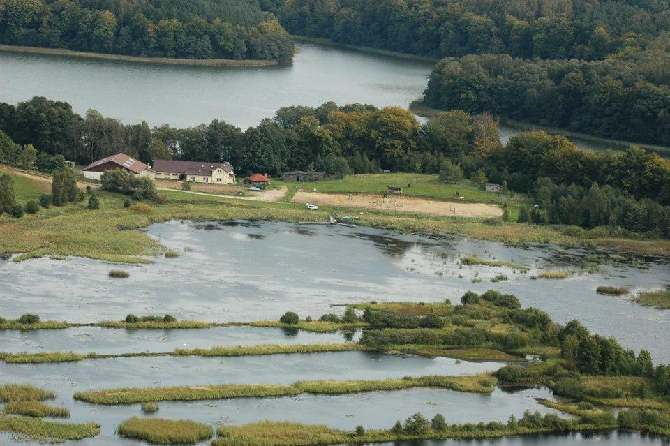 Villa Stajnia Grazyny Mikorowo 46 Czarna Dabrowka Exterior foto